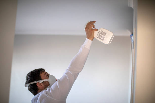 Best Localized Mold Remediation (e.g., coastal areas, humid climates) in Litchfield, IL