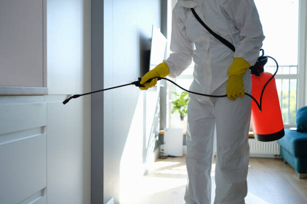 Best Mold Remediation for Schools in Litchfield, IL