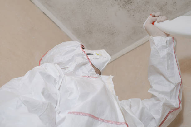 Best Mold Testing and Inspection Services in Litchfield, IL