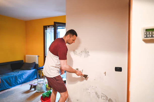 Best Post-Flood Mold Remediation in Litchfield, IL